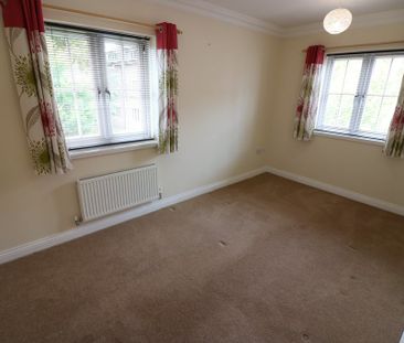 19 St. Marys Walk - Photo 4