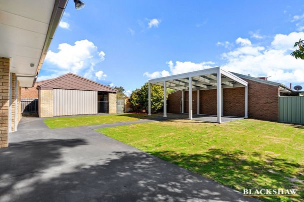 6 Tipper Place, Cook ACT 2614 - House For Rent | Domain - Photo 1