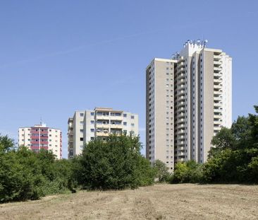 Gemütliche 1-Zimmerwohnung mit Balkon - Foto 1