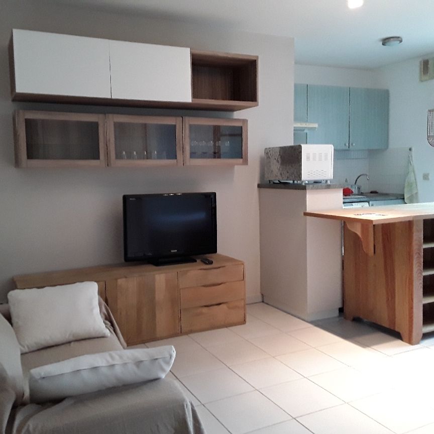 Location Appartement 2 pièces 41m² SEILH 31840 - Photo 1