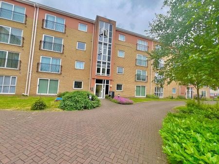 Avonmore Court, Walsall, WS2, Property for rent - Photo 4