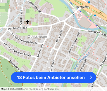 Lichtentaler Allee - Foto 1