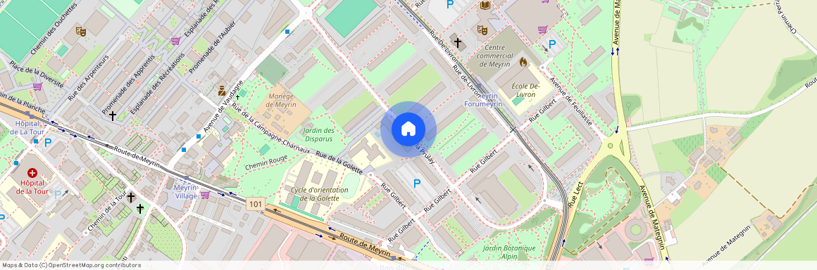 Rue de la Prulay, 1217 Meyrin