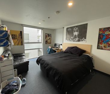 7 Bedrooms in Mt Cook! - Photo 4