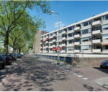 Buitenhaven 38 - Photo 5