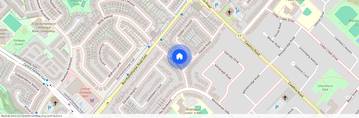 3631 Molly Avenue, Mississauga