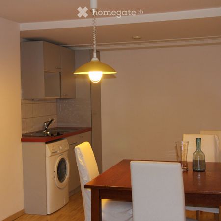 Joli Studio 67 m2 a Troinex, avec parking prive et petit jardin prive (CEVA a 5 min) - Photo 3