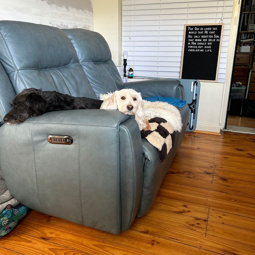 Athelstone - Photo 1