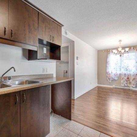 2CC Secteur Plateau Gatineau - JUILLET ET AOÛT GRATUITS, Sans Dépot, Emménagement Immdédiat! - Photo 3