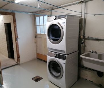 Row of single-family homes looking for a small family with a green ... - Photo 4