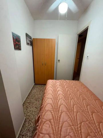 Sueca - Photo 3