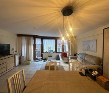 RESIDENTIE TANAGRA - Photo 4