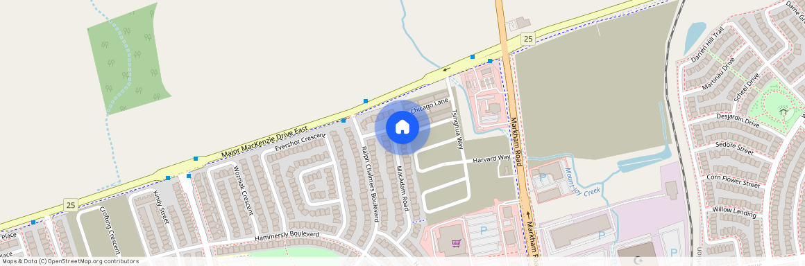 27 Macadam Road Unit# Lower Unit, Markham