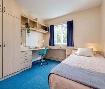 Single Ensuite Room - Photo 2