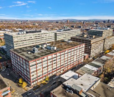 160 Rue St Viateur E., Montréal (Le Plateau-Mont-Royal), QC H2T - Photo 2