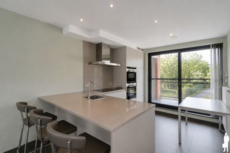 Appartement te huur in Beveren-Kruibeke-Zwijndrecht met 1 slaapkamer - foto 2