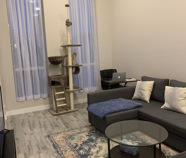 For Lease - 100 Garment Street Unit# 313, Kitchener, Ontario - Photo 6