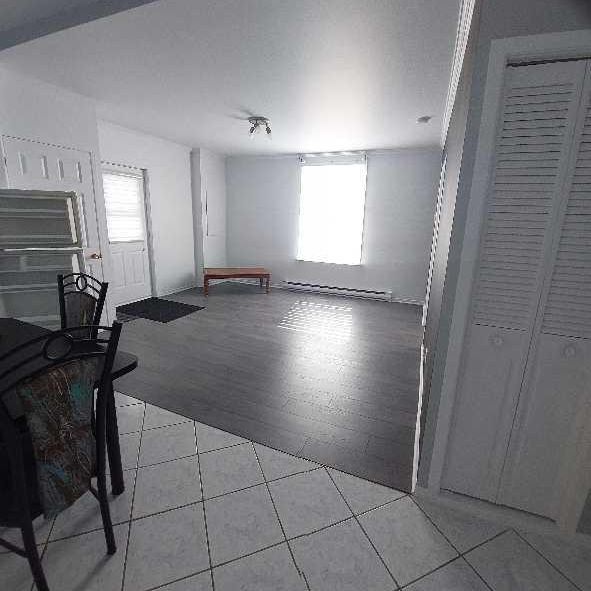 Loyer 3 1/2 Shawinigan (secteur Grand-Mère) - Photo 1