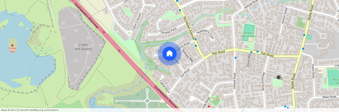 12 Olive Crescent, Papatoetoe, Manukau City