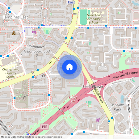 Blk 295 Tampines Street 22 S(520295)