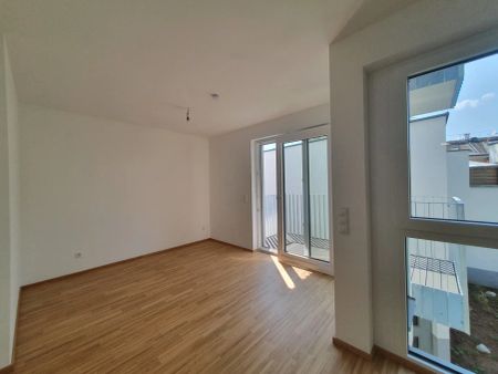 Helle moderne Wohnung bei U2-Stadlau/Bahnhof - Foto 3
