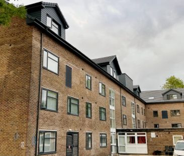 Gold Studio - Photo 2