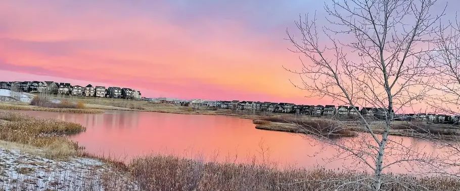 Legal Walkout Basement Suit & Separate Entrance | 129 Marquis View Southeast, Calgary - Photo 1