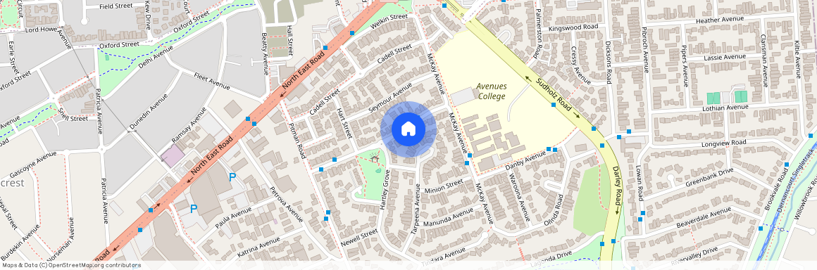 33 Brecon Street, SA 5087, Windsor Gardens