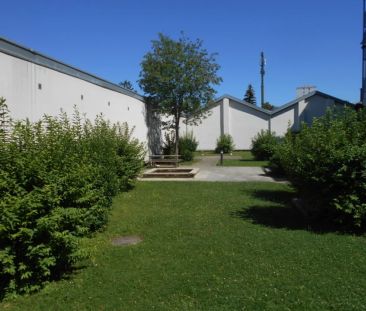 CITY PARK sonnige, sanierte 2ZI mit Allgemeingarten - Photo 2