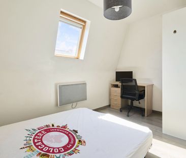 Croix G Roommate 5 Bedrooms at Roubaix - Photo 3