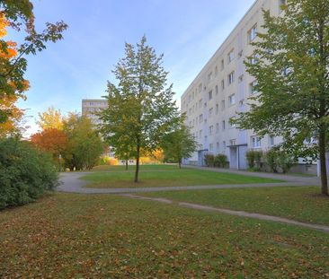 frisch renovierte Wohlfühlwohnung ab Mite Februar 26 - Foto 1