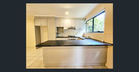 Spacious, Light-Filled Apartment in the Heart of Box Hill - Photo 5