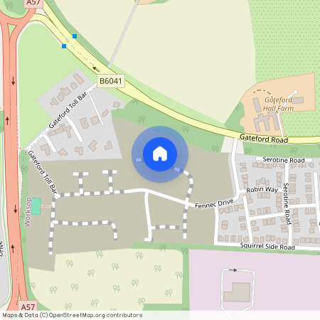 Swift End Close, Worksop S81