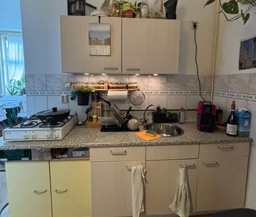 Te huur: 2-kamer appartement in het centrum van Utrecht - Foto 1