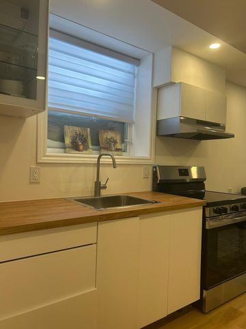 For Lease - 9 Hager Creek Terrace Unit# Basement, Hamilton, Ontario - Photo 5