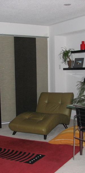 Beautiful Townhouse – Walking distance to CHEO & General Hos - Photo 1