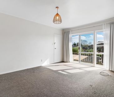 Sunny Top Floor Unit - Photo 2