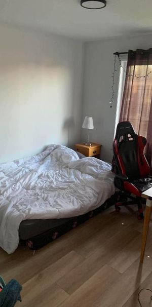 Appartement à louer rue Saindon, Levis - Photo 1