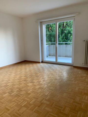 Route des Plaines-du-Loup 46, 1018, Lausanne - Photo 4