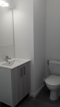 Location Appartement 1 pièce 19m² AUZEVILLE TOLOSANE 31320 - Photo 1