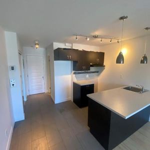 1 CH - 1 SDB - Montréal - $1,295 /mo - Photo 2