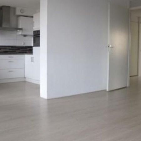 Akropolishof, 2624 ET Delft, Nederland - Photo 4