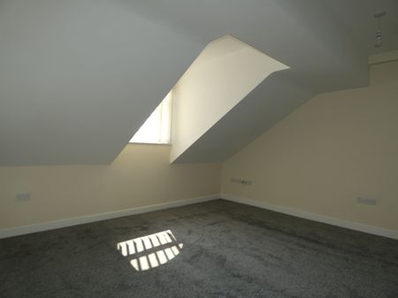 Albert Road Penthouse - Photo 5