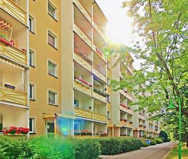 3-Raum Wohnung in ruhiger Lage - Photo 1