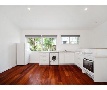 Stunning Oversized Studio in Annandale! Enter Via Whites Creek Lane - Photo 2