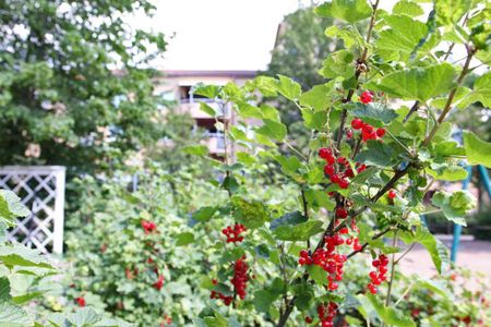 4 RUM KÖK - Photo 2