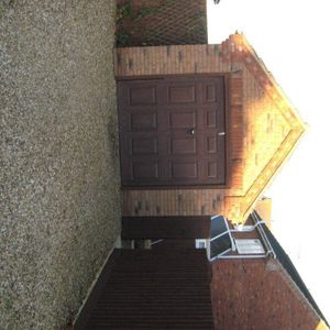 Tulip Fields - Photo 2