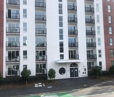 Aroha Brand New One Bedroom One Bathroom Apartment - Photo 5