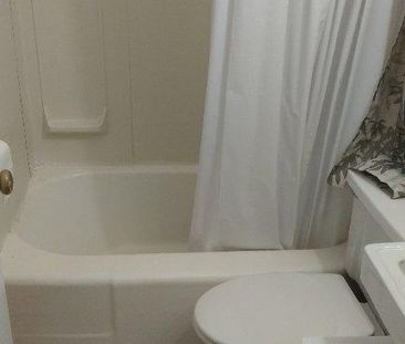 1 1/2 (620$/mois), à louer, PARC MYRAND, 2 pas Univ. Laval et CEGEP... - Photo 4