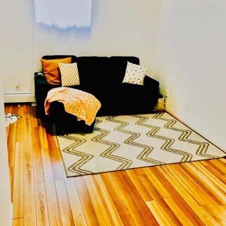 MAGNIFIQUE CONDO 3 1/2 A MONTCALM - Photo 4